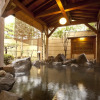 Отель Yamaga Onsen Seiryuso, фото 33