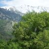 Отель Résidence les Balcons du Canigou, фото 28