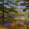 Отель Auberge La Taniere A Tadoussac, фото 22