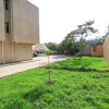 Отель Esey Hotel Hawassa, фото 9