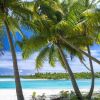 Отель Pacific Resort Aitutaki, фото 31