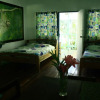 Отель Kasha, фото 37