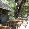 Отель Okavango River Lodge, фото 11