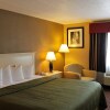 Отель Quality Inn & Suites, фото 6