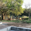 Отель Discover the Attraction of Villa Umoja, фото 15