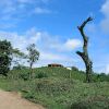 Отель Finca El Recreo, фото 3