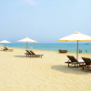 Отель An Bang Beach Dolphin Homestay Hoi An, фото 16