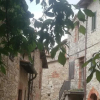 Отель Palazzo del Chianti Relais, фото 1