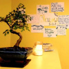 Отель Yellow Hostel Central, фото 10