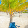 Отель White Sands Beach, фото 41