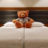 Отель The Hub District Garden Suites, фото 1