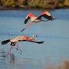 Отель Apartamento Playas del Sur, фото 5