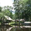 Отель Amazonas Sinchicuy Lodge, фото 8
