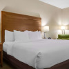 Отель Comfort Inn, фото 7