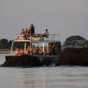 Отель Chobe River Camp, фото 31