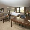 Отель Hilton Indianapolis Hotel & Suites, фото 37