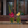 Отель Treasures Hotel and Suites, фото 12