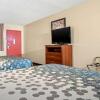 Отель Econo Lodge Inn And Suites, фото 5