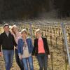 Отель Winzerstube Familie Schilling, фото 7