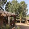 Отель Sarahma Lodge Simal в Мбодине