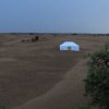 Отель Majorelle Desert Camp, фото 15