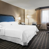 Отель Sheraton Charlotte Airport Hotel, фото 6
