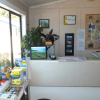 Отель Waitaki Waters Holiday Park, фото 2
