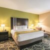 Отель La Quinta Inn & Suites by Wyndham Tyler - University Area, фото 26