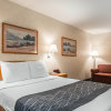 Отель Econo Lodge  Inn & Suites Lake Of The Ozarks, фото 6