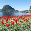 Отель Lugano Centro in Lugano, фото 17