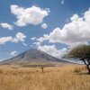 Отель Lake Natron Tented Camp, фото 12
