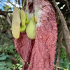 Отель Fazenda Monjolos, фото 11