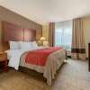 Отель Comfort Inn, фото 6