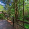 Отель Cowboy Cabin - Gorgeous Unique Mountain Cabin With Creek Porch Pool Table, фото 29