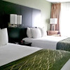 Отель Comfort Inn, фото 7