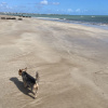 Отель Branco Haus - Pé na Areia do Caribessa, фото 24