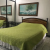 Отель Apartotel Oro, фото 4