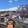 Отель Encarnacao Apartment Funchal, фото 15