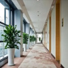 Отель Funiton Hotel, фото 14