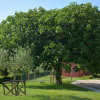 Отель Tenuta di Poggiovalle, фото 14