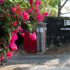 Отель Xiaonanhai Garden Coffee Homestay, фото 1