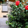 Отель The Tuscanian Hotel, фото 12