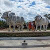 Отель The Blue Eco Lodge - Adults only, фото 4