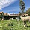 Отель Casona Plaza Hotel Ecolodge Colca, фото 23