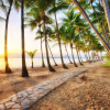 Отель Belle Escapes - Latania Villa Palm Cove, фото 17