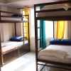 Отель Traveller Paradise, фото 2