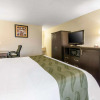 Отель Quality Inn Daytona Speedway I-95, фото 4