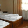Отель Pensiunea Daiana, фото 2