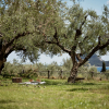 Отель Leedas Village, фото 28