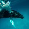 Отель Ambergris Cay Private Island – All Inclusive – PLS Island Hopper Flight Included, фото 33